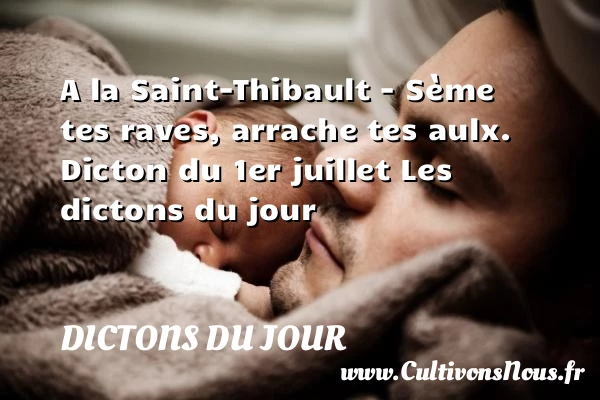 A la Saint-Thibault – Sème - Dictons du jour