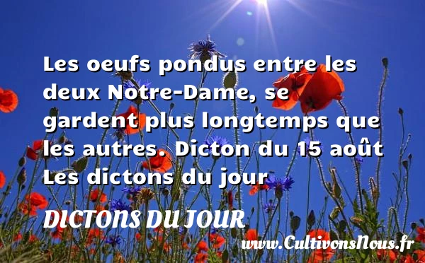 Les oeufs pondus entre les - Dictons du jour