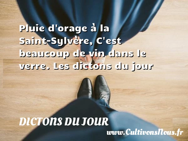 Pluie d’orage à la - Dictons du jour