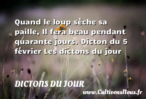 Quand le loup sèche sa - Dictons du jour