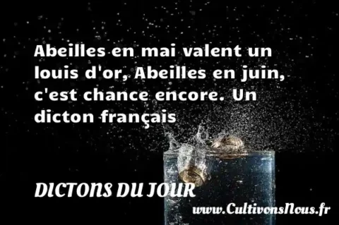 Abeilles en mai valent un louis d or, Abeilles en juin, c est chance encore. Un dicton français DICTONS DU JOUR