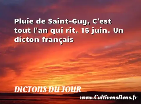 Pluie de Saint-Guy, C est tout l an qui rit. 15 juin. Un dicton français DICTONS DU JOUR