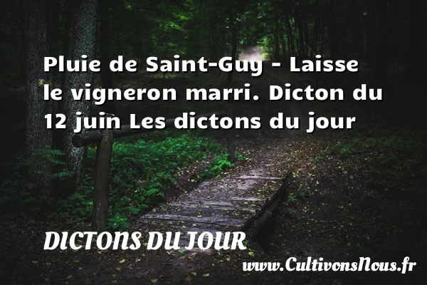 Pluie de Saint-Guy – Laisse - Dictons du jour
