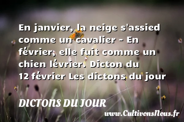 En janvier, la neige - Dictons du jour