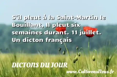 S il pleut à la Saint-Martin le Bouillant, Il pleut six semaines durant. 11 juillet. Un dicton français DICTONS DU JOUR