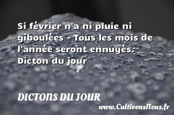 Si février n’a ni pluie ni - Dictons du jour
