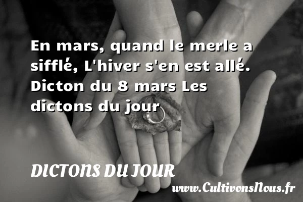 En mars, quand le merle a - Dictons du jour