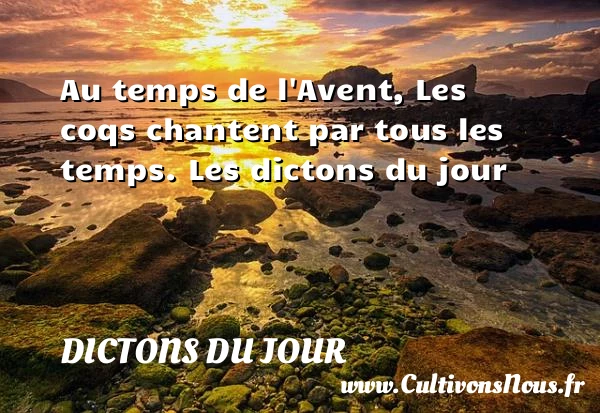 Au temps de l’Avent, Les - Dictons du jour