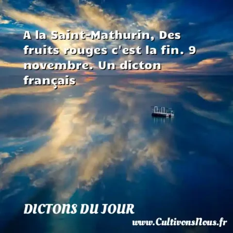 A la Saint-Mathurin, Des fruits rouges c est la fin. 9 novembre. Un dicton français DICTONS DU JOUR