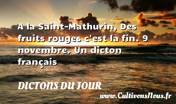 A la Saint-Mathurin, Des - Dictons du jour