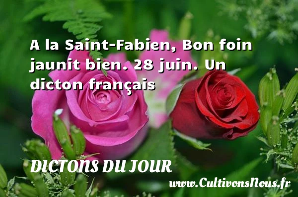 A la Saint-Fabien, Bon - Dictons du jour