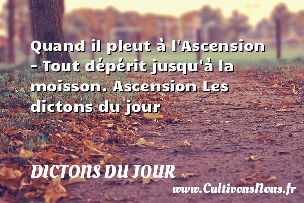 Quand il pleut à l’Ascension - Dictons du jour