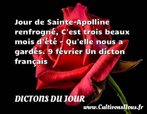 Jour de Sainte-Apolline - Dictons du jour