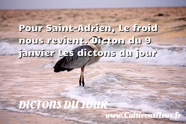 Pour Saint-Adrien, Le - Dictons du jour