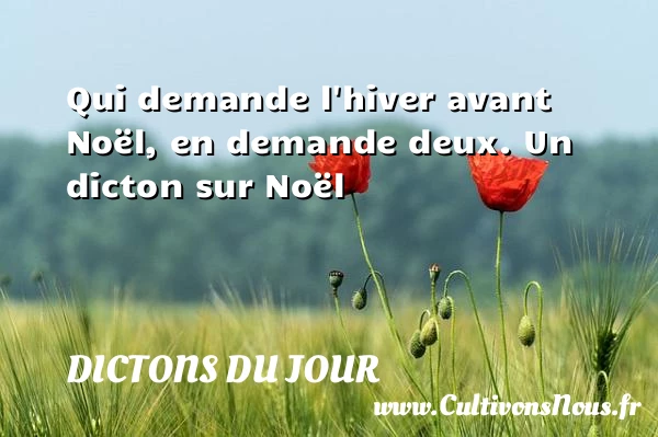 Qui demande l’hiver avant Noël, en - Dictons du jour - Citation Noël