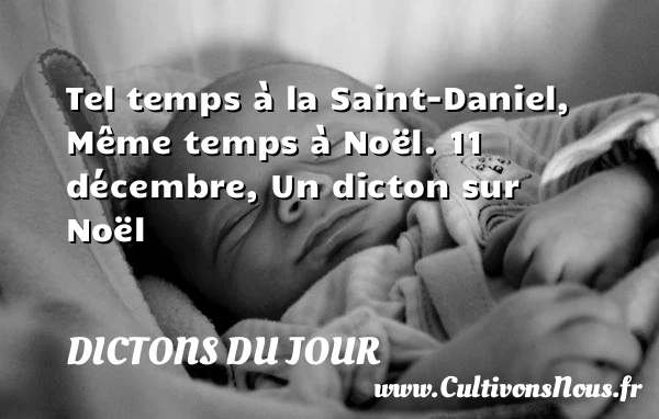 Tel temps à la Saint-Daniel, - Dictons du jour - Citation Noël
