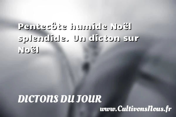 Pentecôte humide - Dictons du jour - Citation Noël