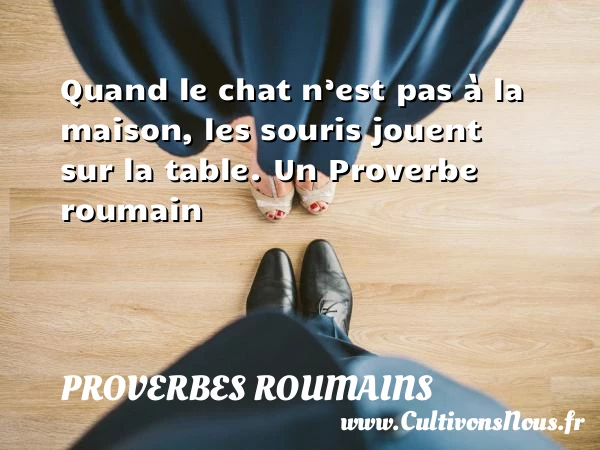 Quand le chat n’est pas à la maison, les souris jouent sur la - Proverbes roumains - Proverbes fun
