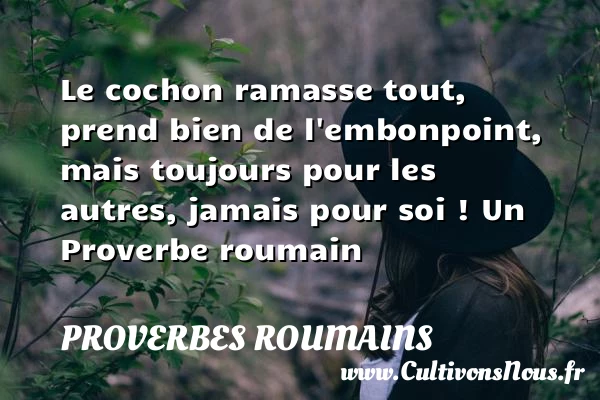Le cochon ramasse tout, prend bien de l’embonpoint, mais - Proverbes roumains - Proverbes philosophiques