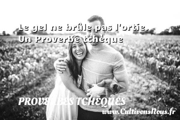 Le gel ne br&ucirc;le pas l’ortie. - Proverbes tchèques