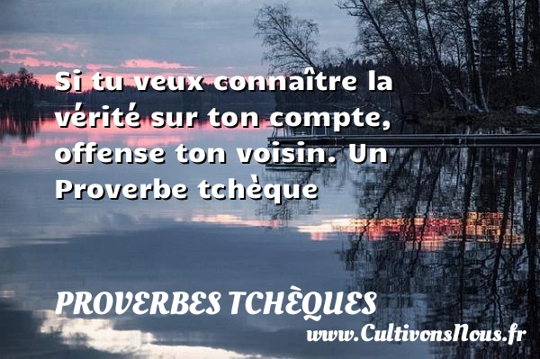 Si tu veux conna&icirc;tre la vérité sur ton compte, - Proverbes tchèques - Proverbes vérité