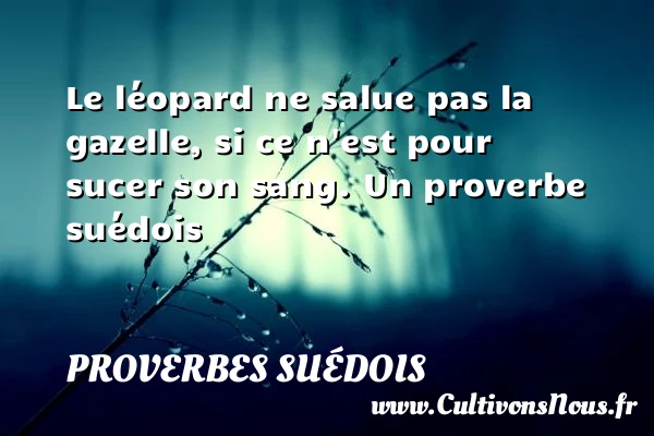 Le léopard ne salue pas la gazelle, si ce n’est pour sucer - Proverbes suédois