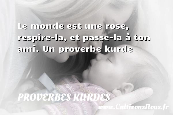 Le monde est une rose, respire-la, et passe-la à ton - Proverbes kurdes - Proverbe rose