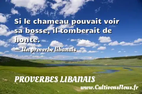 Si le chameau pouvait voir sa bosse, il tomberait de honte. - Un proverbe libanais PROVERBES LIBANAIS