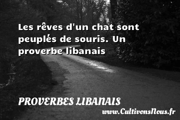 Les rêves d’un chat sont peuplés de souris. - Proverbes libanais