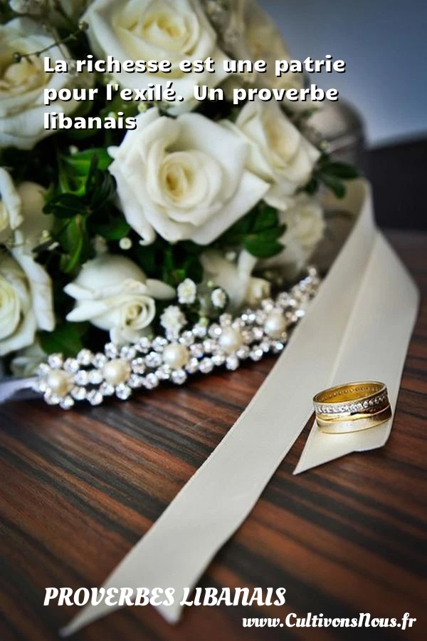 La richesse est une patrie pour l’exilé. - Proverbes libanais - Proverbes richesse