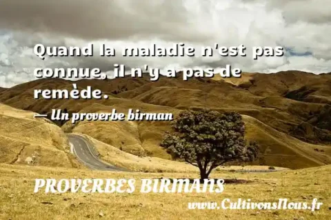 Quand la maladie n est pas connue, il n y a pas de remède. - Un proverbe birman PROVERBES BIRMANS