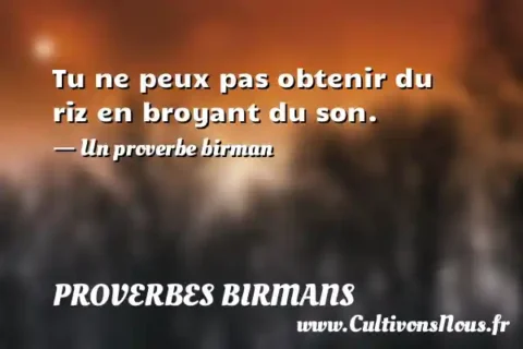 Tu ne peux pas obtenir du riz en broyant du son. - Un proverbe birman PROVERBES BIRMANS