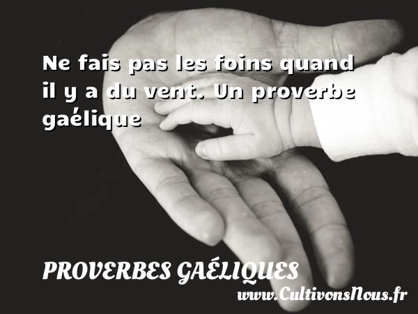 Ne fais pas les foins quand il y a du - Proverbes gaéliques