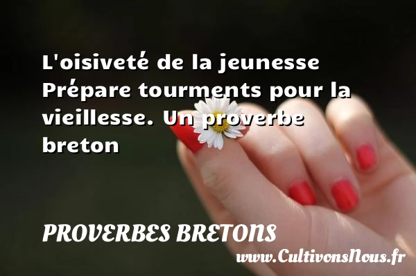 L’oisiveté de la jeunesse Prépare tourments pour la - Proverbes bretons - Proverbes vieillesse