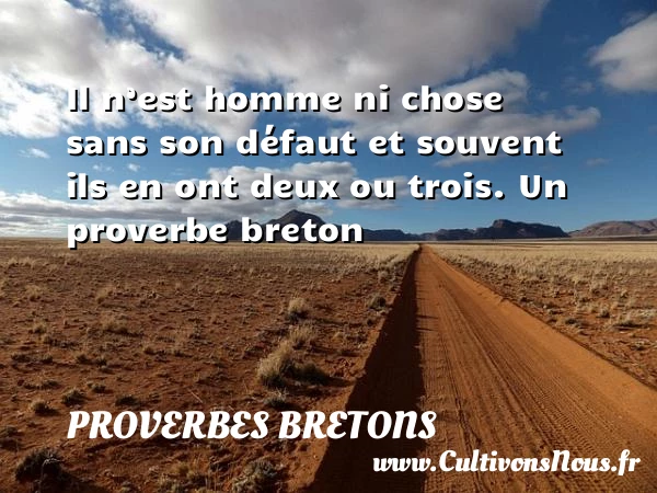 Il n’est homme ni chose sans son défaut et souvent ils en - Proverbes bretons