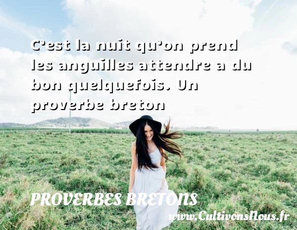 C’est la nuit qu’on prend les anguilles attendre a du bon - Proverbes bretons - Proverbe attendre