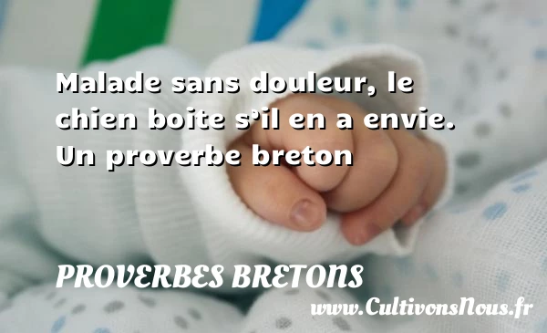 Malade sans douleur, le chien boite s’il en a - Proverbes bretons - Proverbes douleur