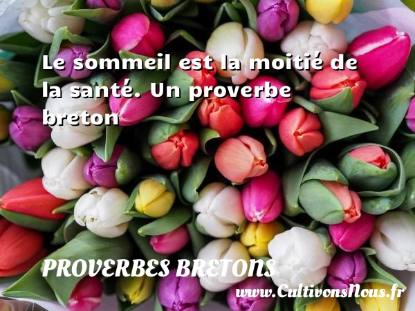 Le sommeil est la moitié de la santé. - Proverbes bretons - Proverbe santé