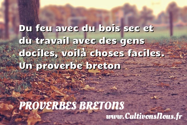Du feu avec du bois sec et du travail avec des - Proverbes bretons - Proverbe bois