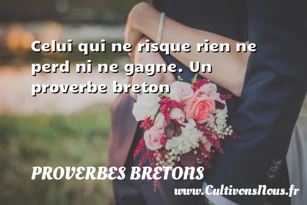 Celui qui ne risque rien ne perd ni ne - Proverbes bretons - Proverbe risque