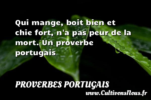 Qui mange, boit bien et chie fort, n’a - Proverbes portugais - Proverbes Drôles