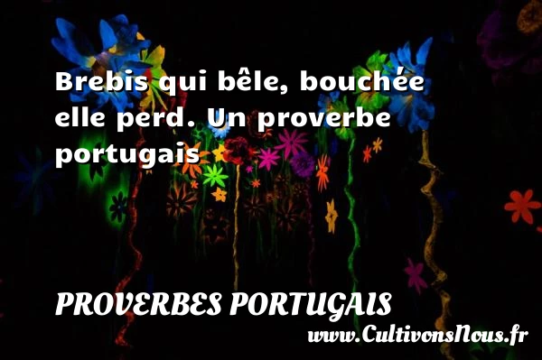 Brebis qui bêle, bouchée elle perd. - Proverbes portugais - Proverbes fun