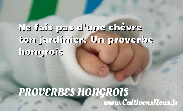 Ne fais pas d’une chèvre ton jardinier. - Proverbes hongrois - Proverbes connus - Proverbes philosophiques
