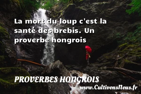 La mort du loup c’est la santé des - Proverbes hongrois - Proverbes connus - Proverbes fun