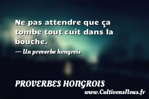 Ne pas attendre que ça tombe tout cuit dans la bouche. - Un proverbe hongrois PROVERBES HONGROIS