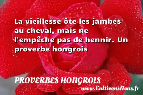 La vieillesse ôte les jambes au cheval, mais ne l empêche pas de hennir. Un proverbe hongrois PROVERBES HONGROIS
