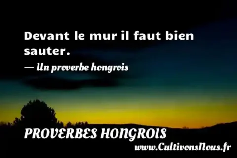 Devant le mur il faut bien sauter. - Un proverbe hongrois PROVERBES HONGROIS