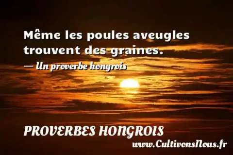 Même les poules aveugles trouvent des graines. - Un proverbe hongrois PROVERBES HONGROIS