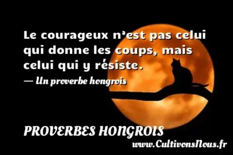 Le courageux n’est pas celui qui donne les coups, mais celui qui y résiste. - Un proverbe hongrois PROVERBES HONGROIS