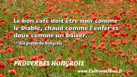 Le bon café doit être noir comme le Diable, chaud comme l enfer et doux comme un baiser. - Un proverbe hongrois PROVERBES HONGROIS
